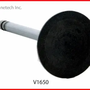 Mastodon SBC 180 Intake Valve Size 2.02 L 4.91 Stem 11/32